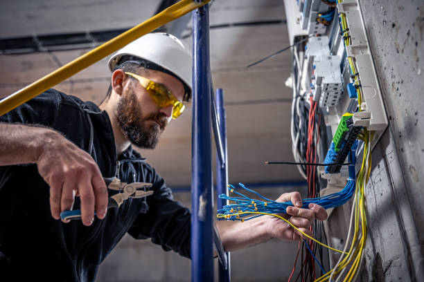 Best Electric Panel Repair  in Webster, TX