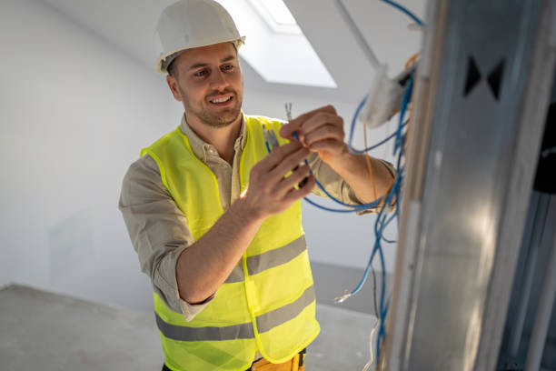 Best Electric Panel Repair  in Webster, TX